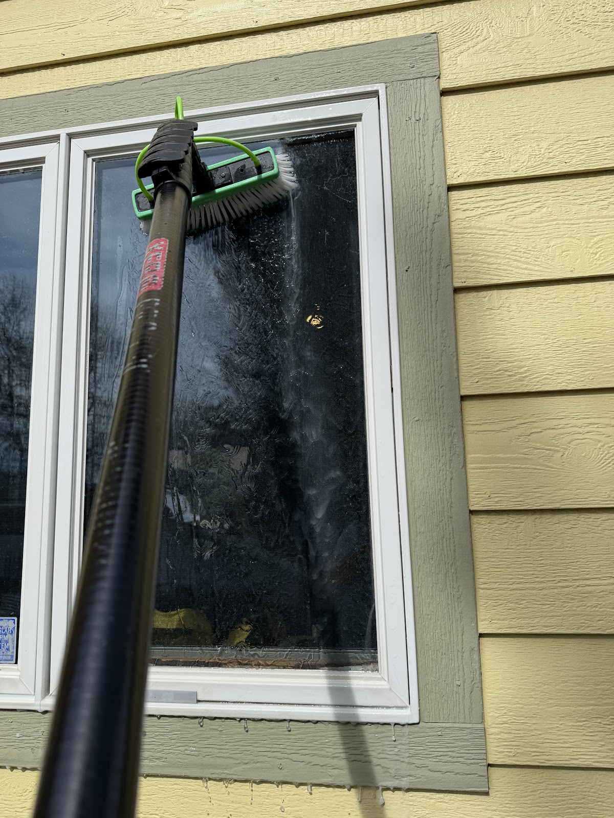 Close-up of a water-fed brush scrubbing a window clean
